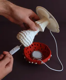 Mushroom lamp “Amanita Muscaria” 3d model