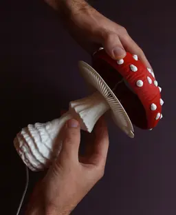 Mushroom lamp “Amanita Muscaria” 3d model