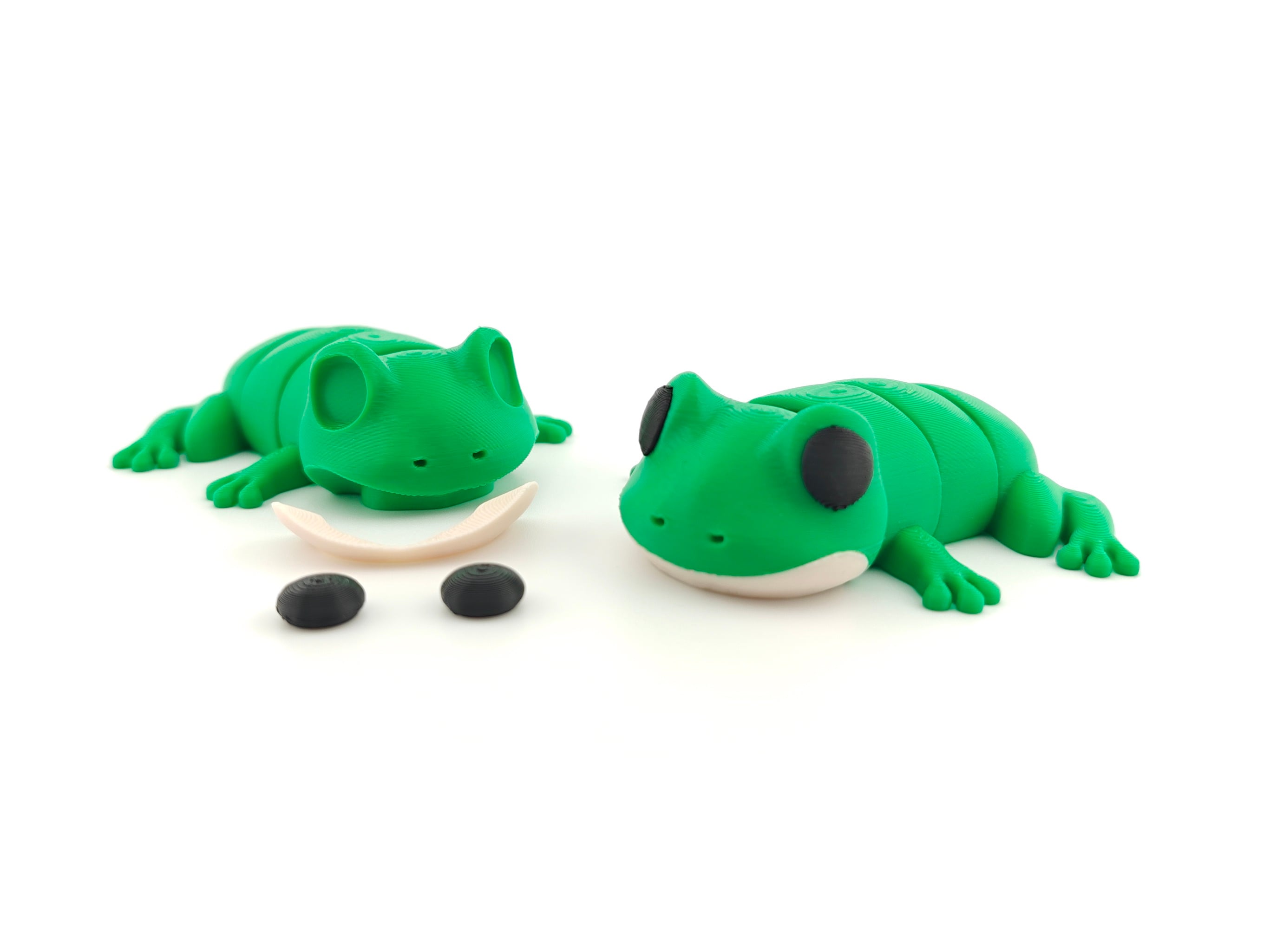 Frog 3d model