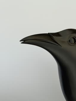 Raven Watering Can – Gothic Bird-Shaped Watering Can for Plants, Garden Decor 3d model