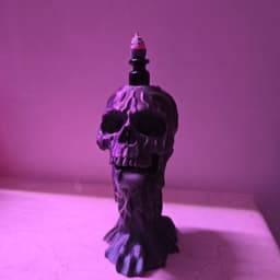 skull Backflow Incense Burner 3d model