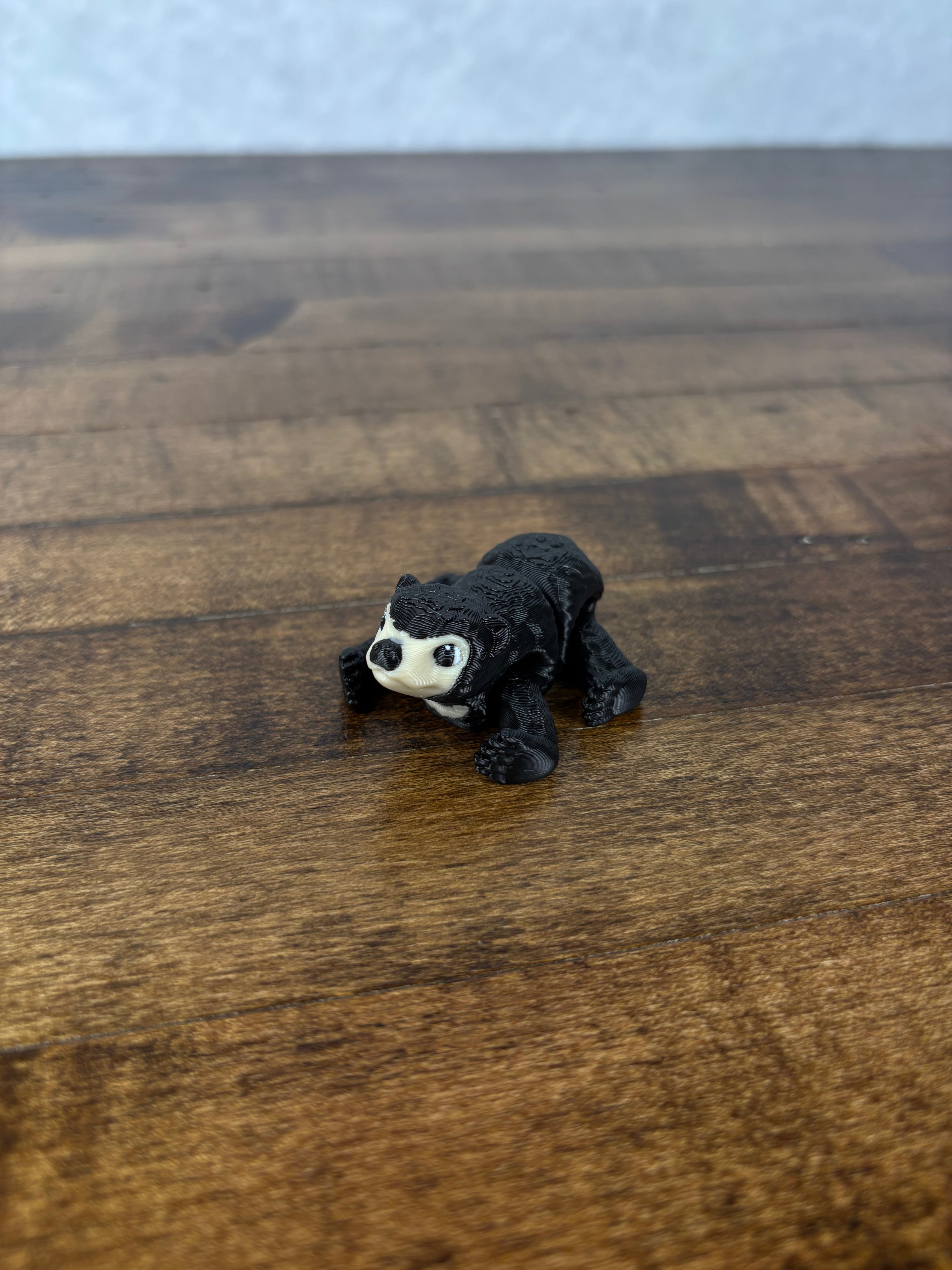 Sun Bear 3d model
