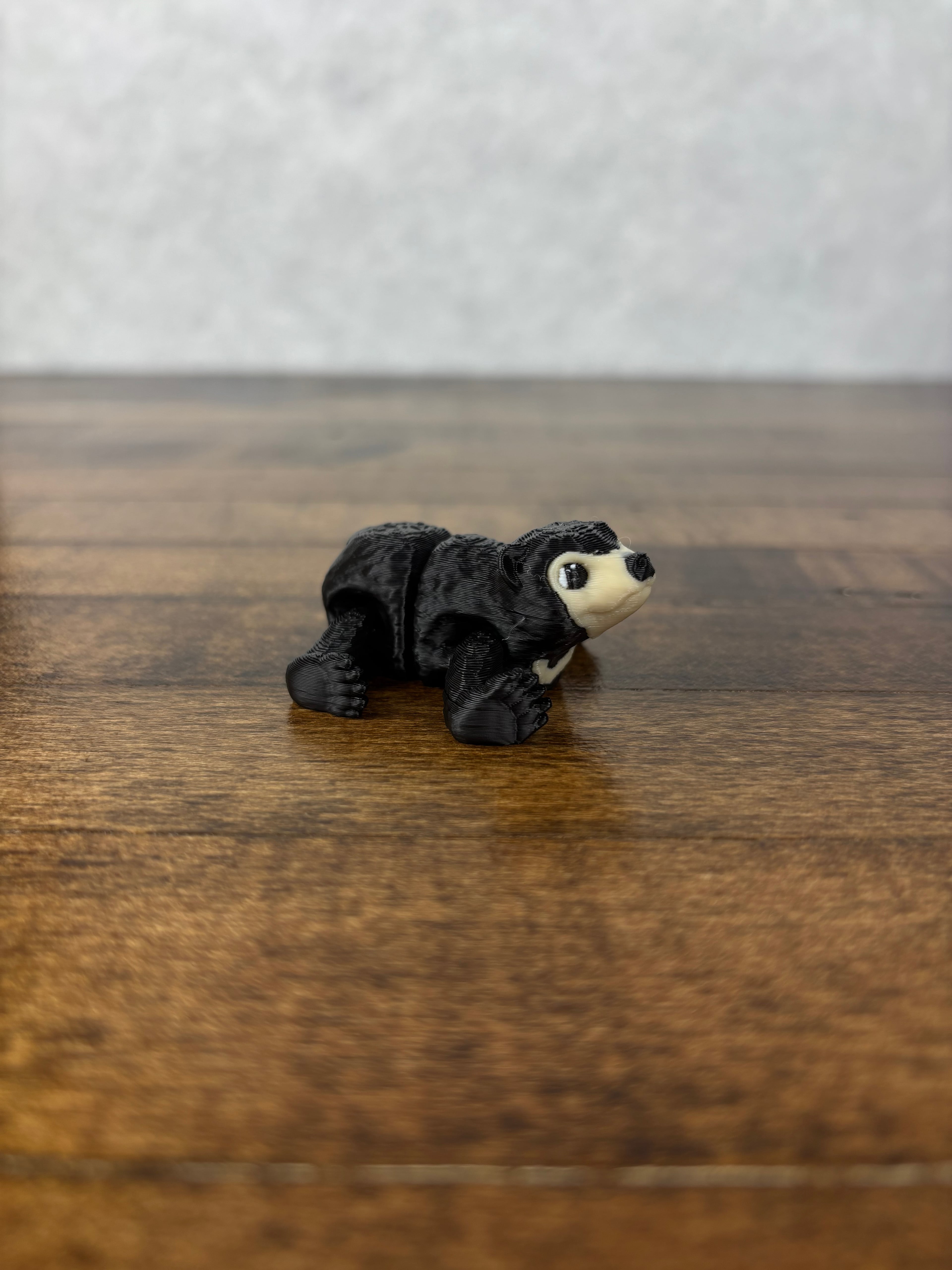 Sun Bear 3d model