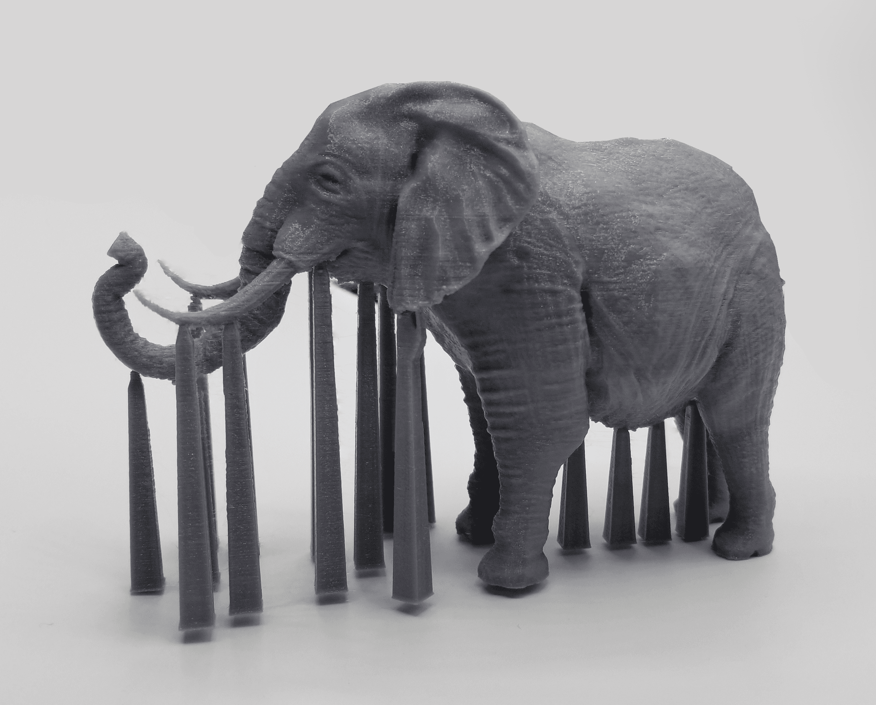 Elephant With Its Trunk Up 3d model