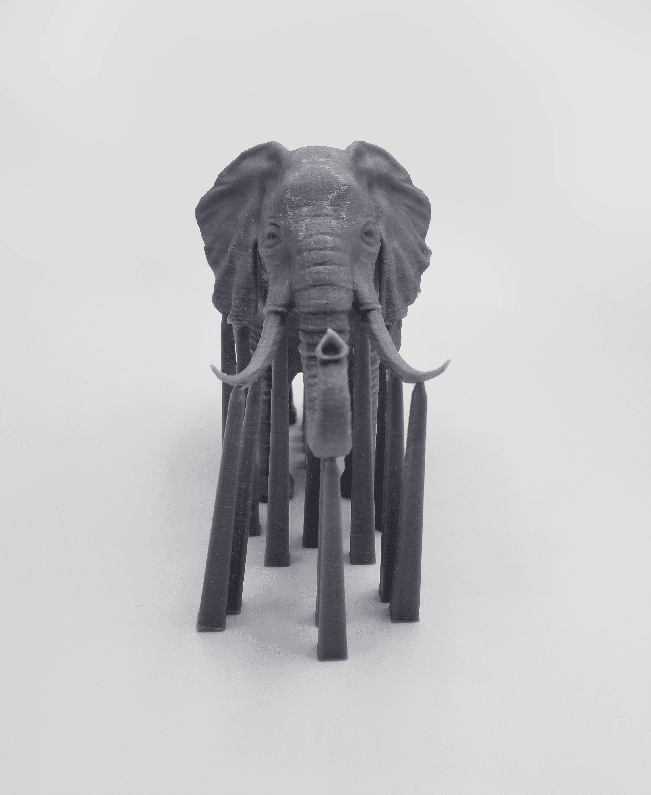 Elephant With Its Trunk Up 3d model