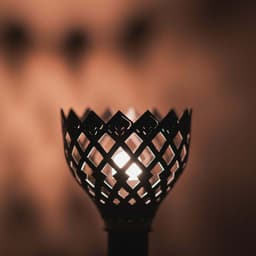 Lamp Shade 3d model