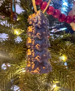 Printed in Eryone Rainbow Forest Silk. 3d model