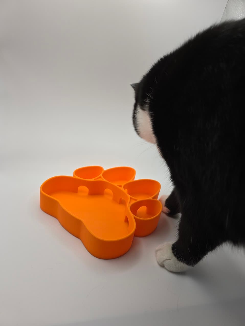 Paw Shape Treaty Toy - Treaty Toy - CatToy001 - R20240307-v002.stl 3d model