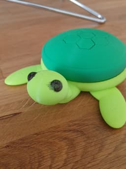 Turtle Game Car Holder 3d model