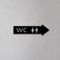 Toilet Sign 3d model