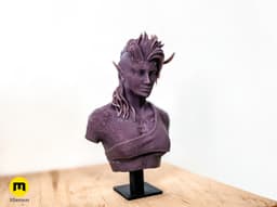 Karlach Bust - Baldur's Gate 3d model