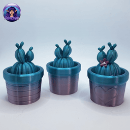 Cactus Surprise 3d model