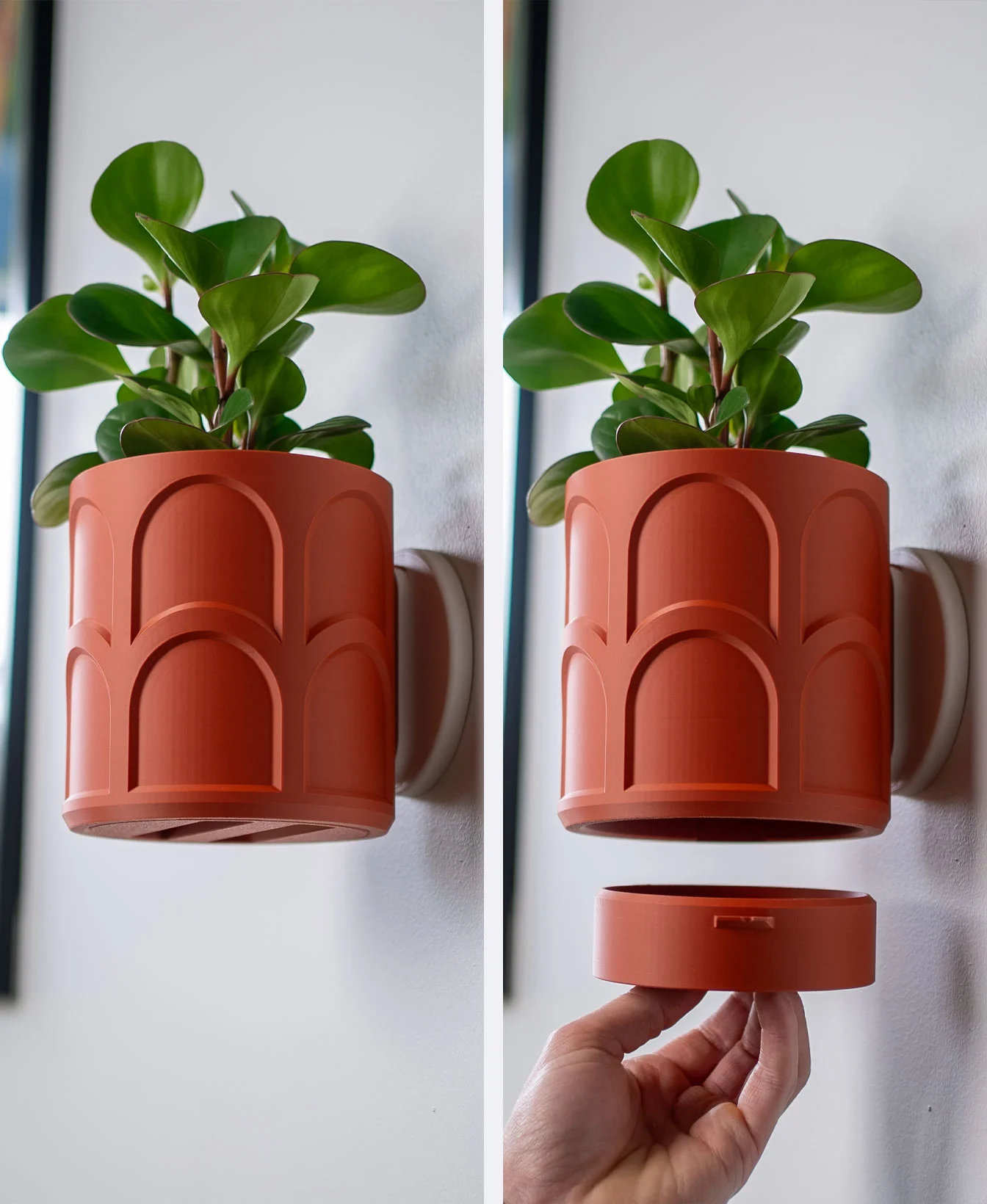 Wall Planter with Hidden Drip Tray - LG02 3d model