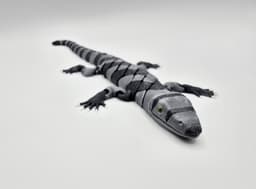 Flexi Hybrid Lace Monitor 3d model