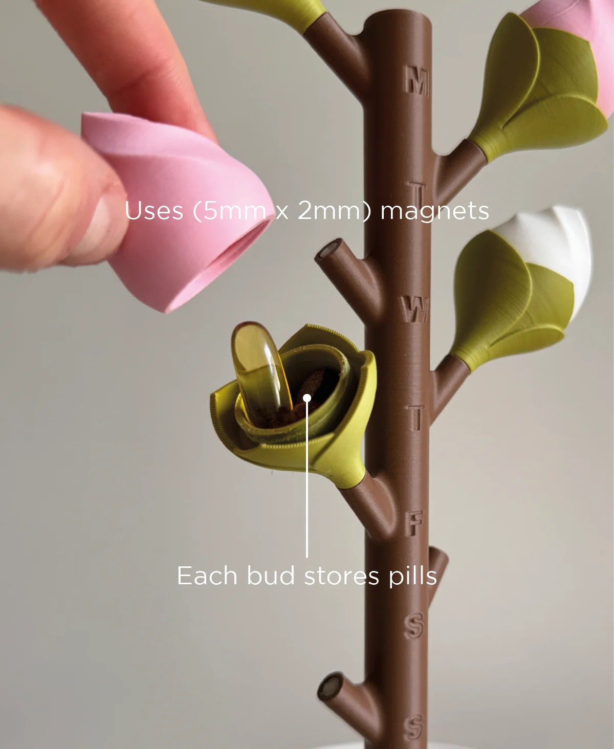Budsy, weekly pill dispenser. 3d model