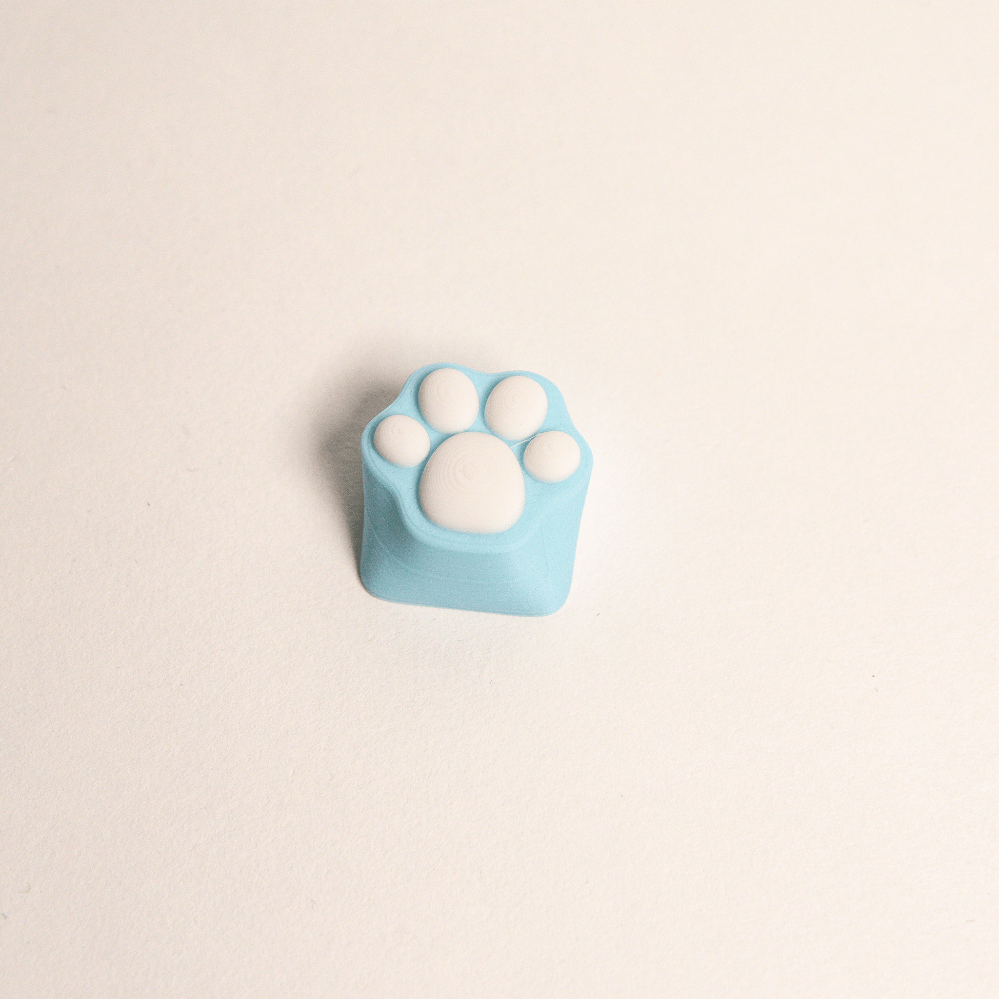 Custom Paw Keycap for Keyboard 3d model