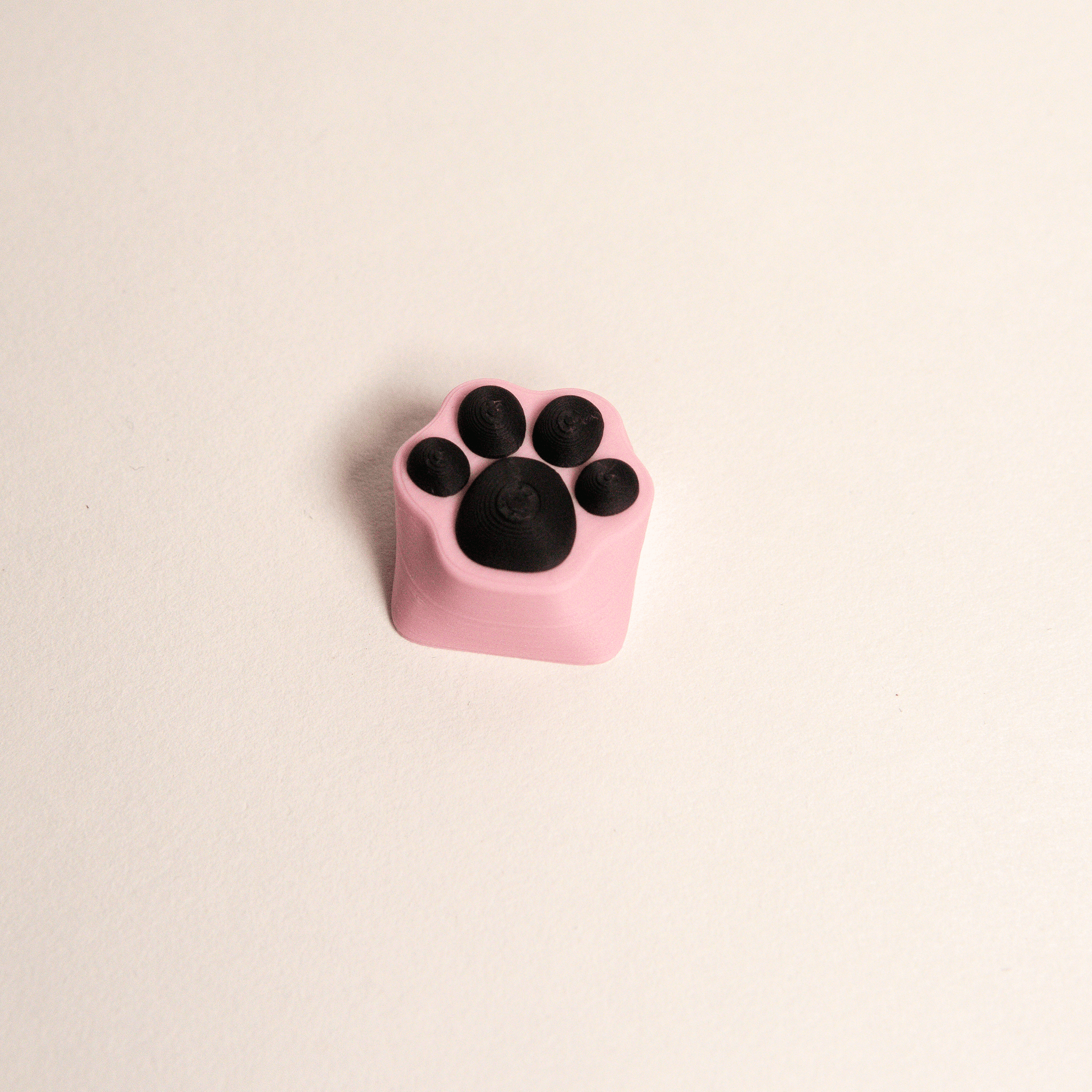 Custom Paw Keycap for Keyboard 3d model
