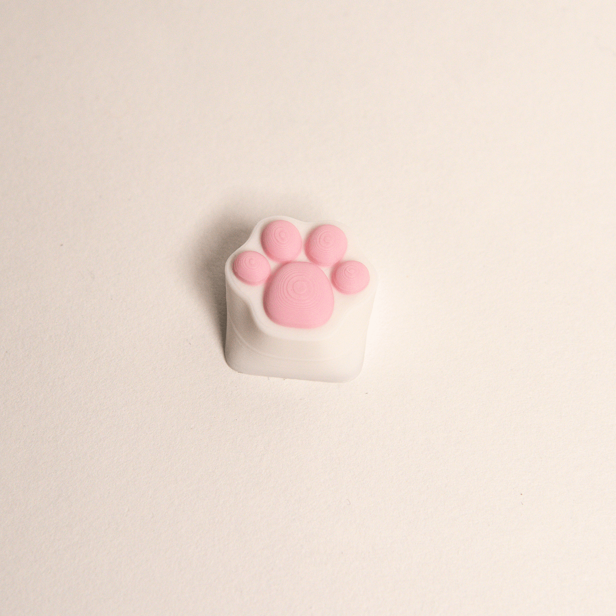 Custom Paw Keycap for Keyboard 3d model