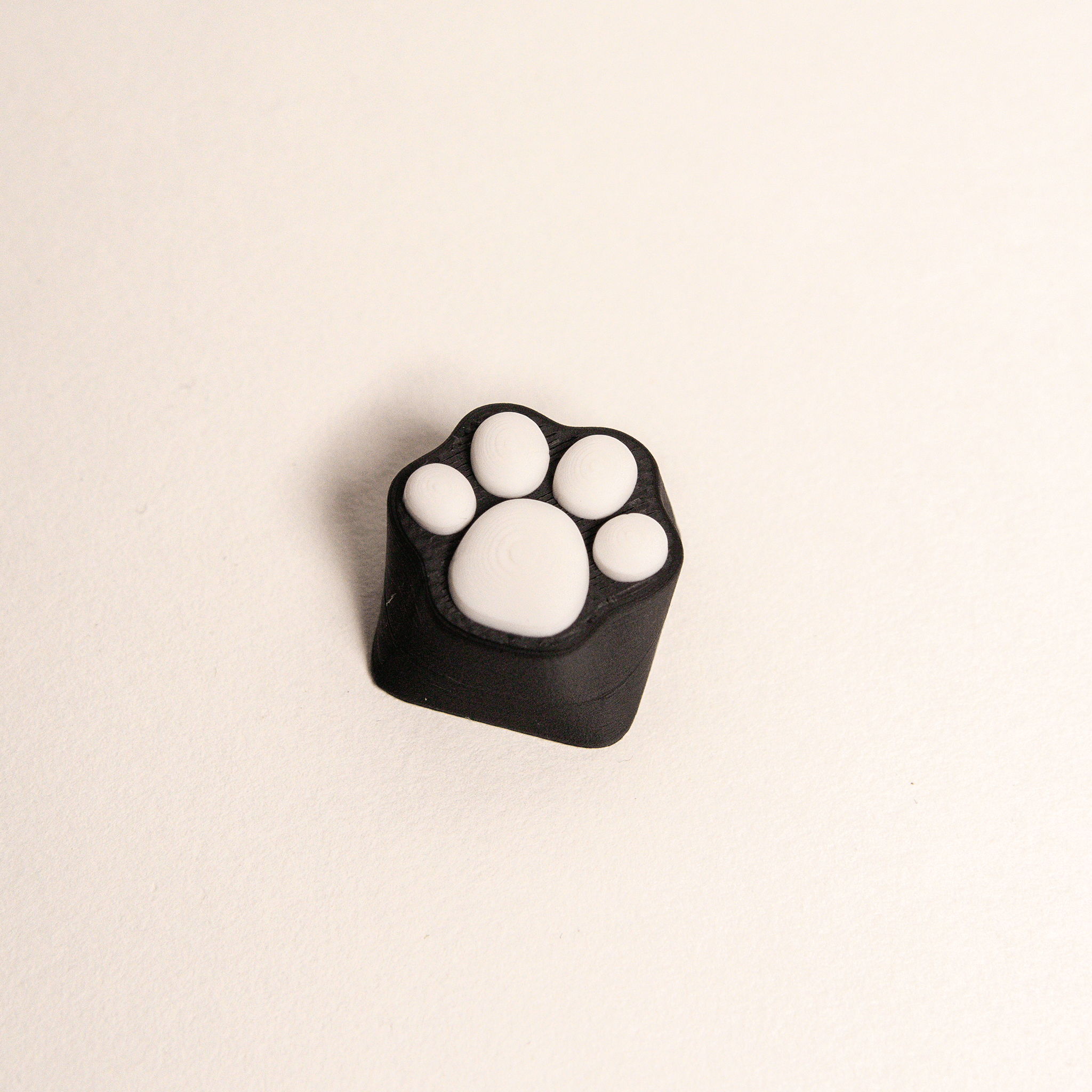 Custom Paw Keycap for Keyboard 3d model