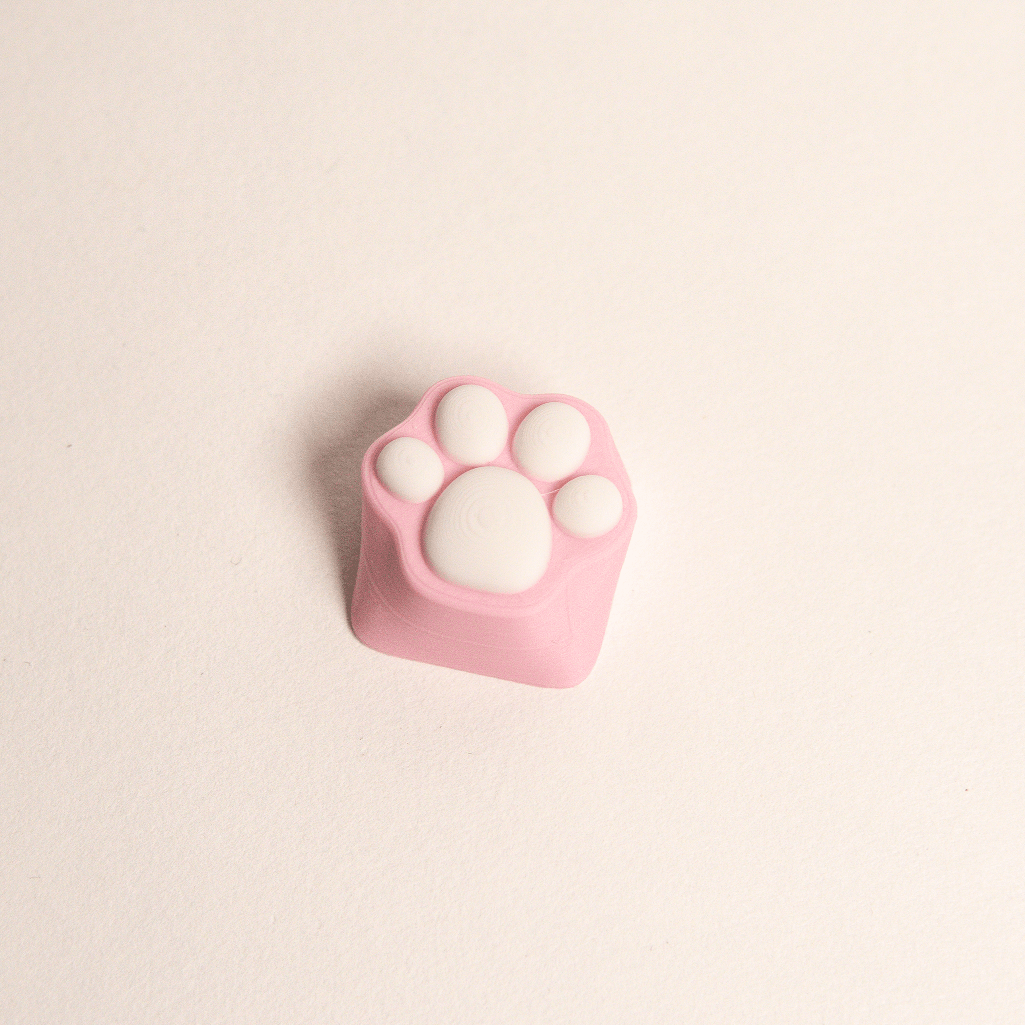 Custom Paw Keycap for Keyboard 3d model