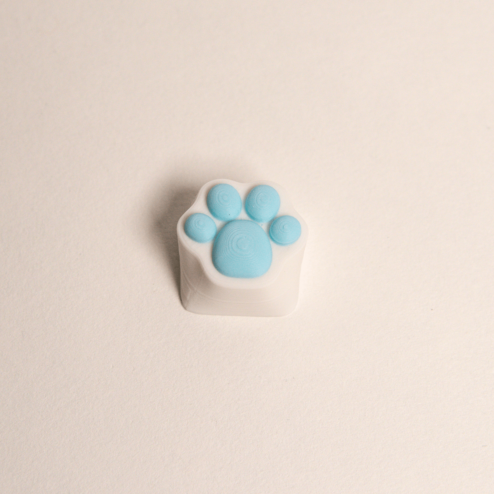 Custom Paw Keycap for Keyboard 3d model
