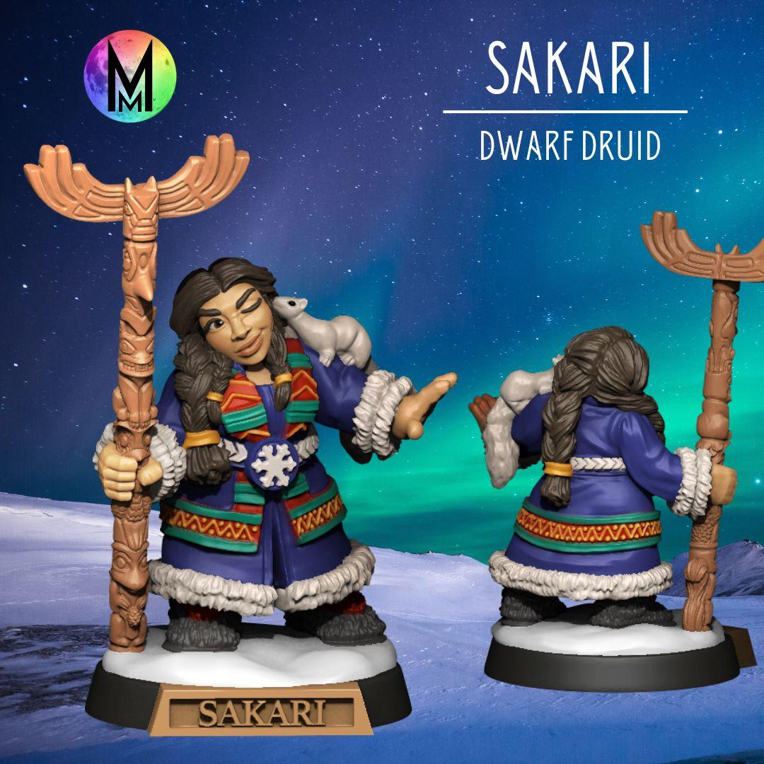 Female Dwarven Druid - Sakari the Dwarven Druid 3d model