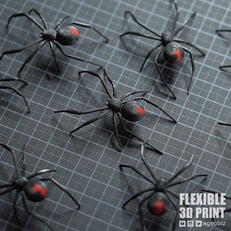 Black Widow Spider 3d model