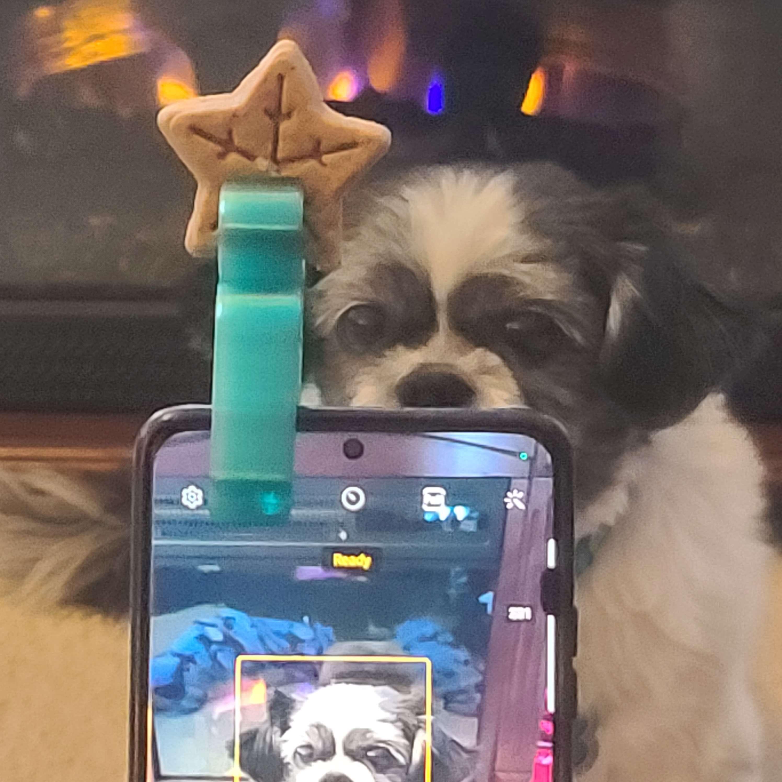 Phone Bone Throne! - TPU Dog Treat Holder for Cell phones 3d model