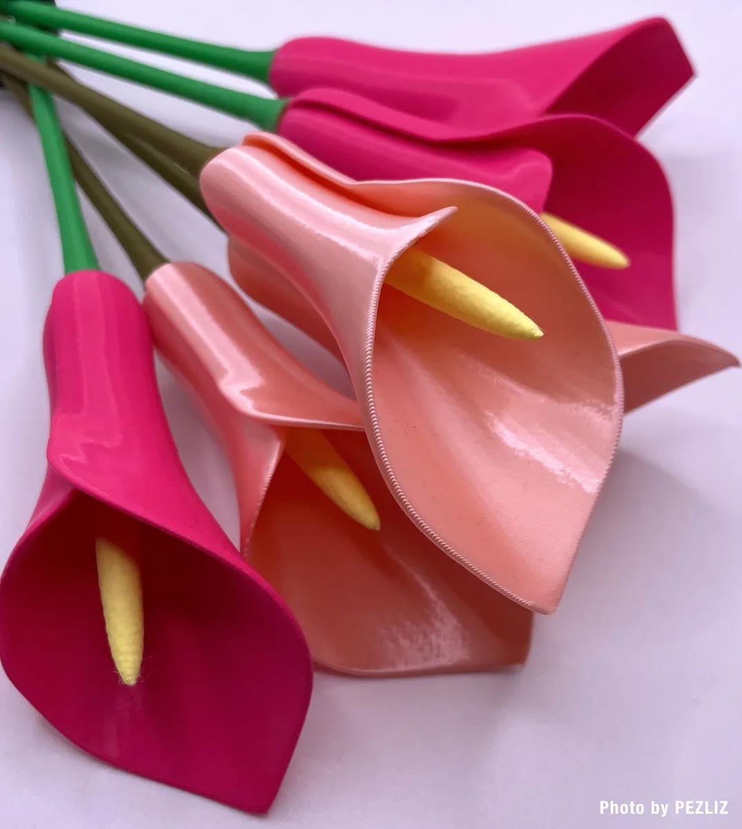 Calla Lily Flower (Vase Mode) 3d model