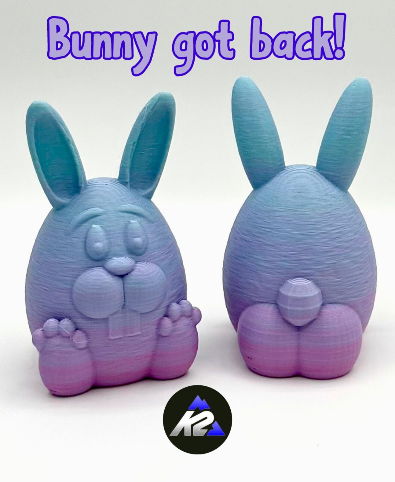 Bunny Got Back! SOLID 3d model
