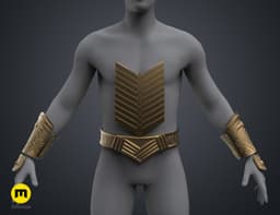 Serpent Guard Armor 3d model