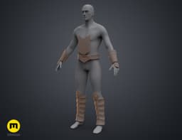 Serpent Guard Armor 3d model