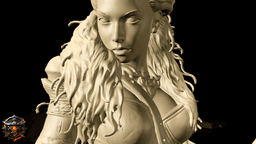 Vaela Stormbrook of The Obsidian Circle 3d model