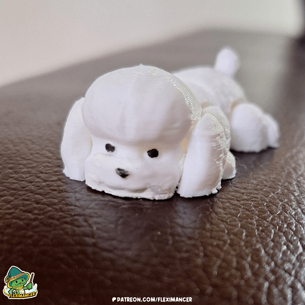 Bichon Frise Dog | Flexi print-in-place + Keychain | Multicolor 3d model