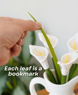 Calla Lily Pens - Flower Pens, Bookmarks, and Pitcher Vase 3d model