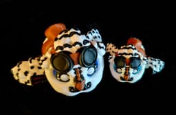 Owl Hatchlings (Commercial Use) 3d model