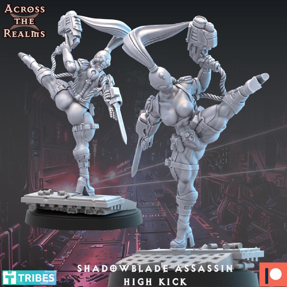 Shadowblade Assassin - High Kick 3d model