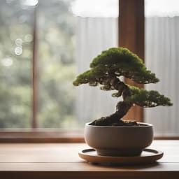 Curved Bonsai Pot with Drainage Hole 3d model