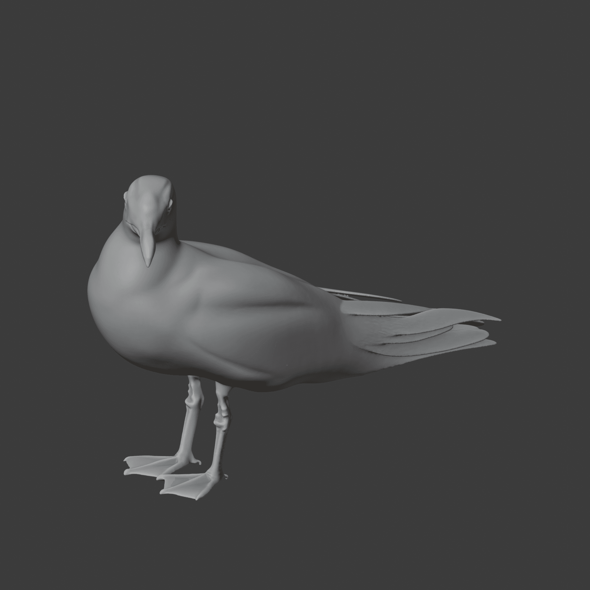 Gull 3d model