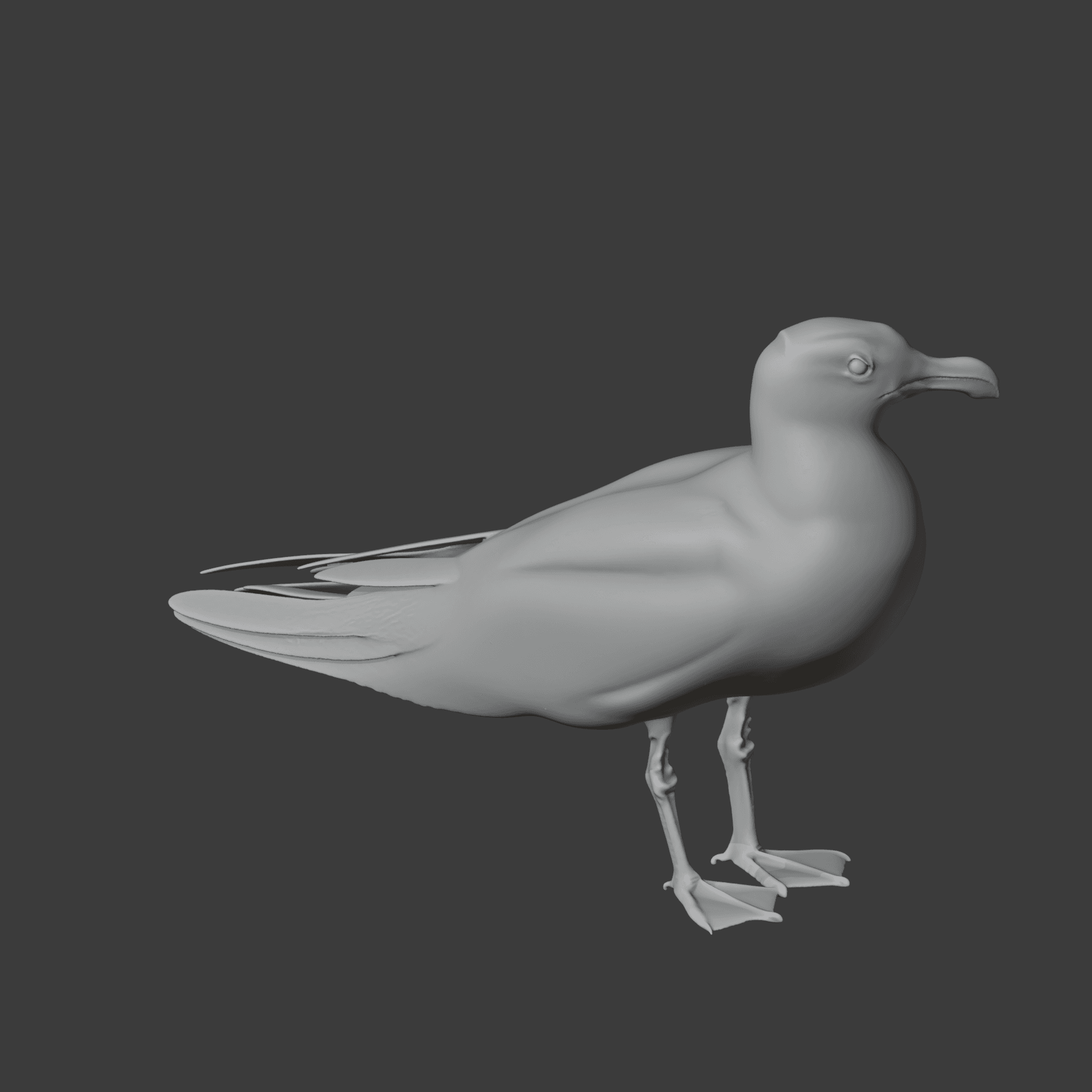 Gull 3d model