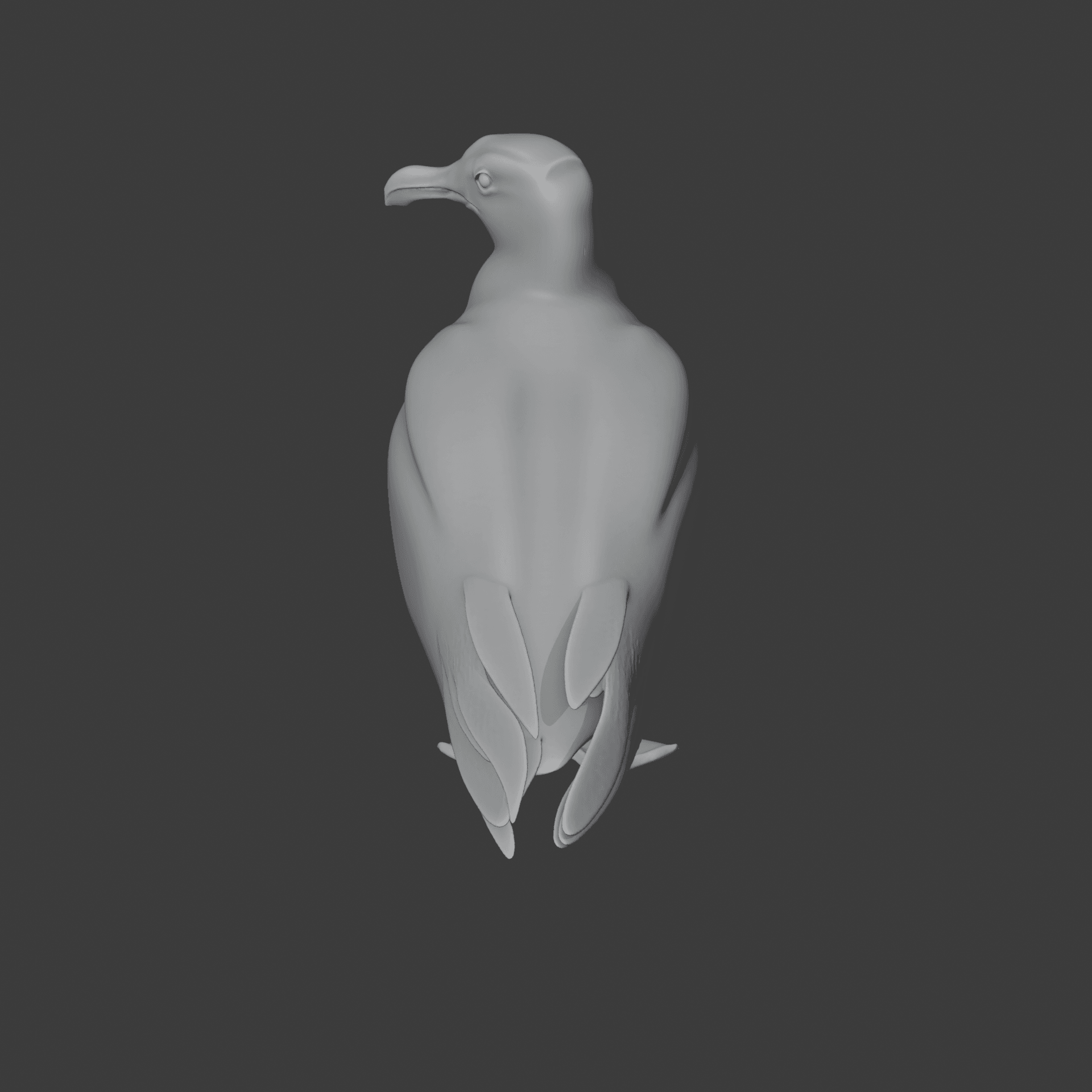 Gull 3d model