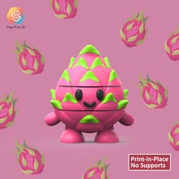Flexi DragonFruit 3d model