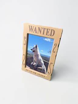CARDBOY One Piece Card Holder (for Toploader, Mag Case,Graded and 4x6 Photos) 3d model