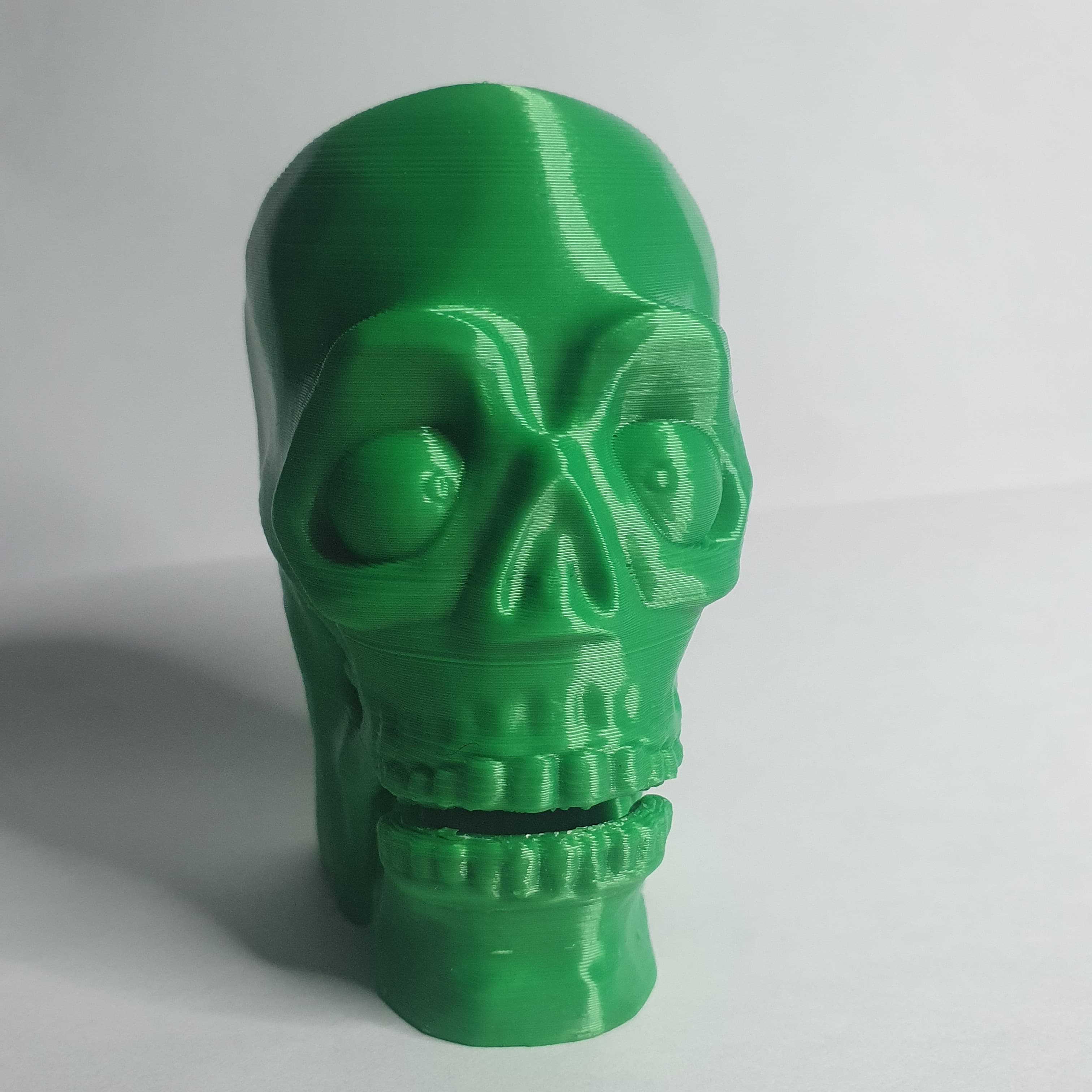 Chilly Bill Chattering Skull 3d model