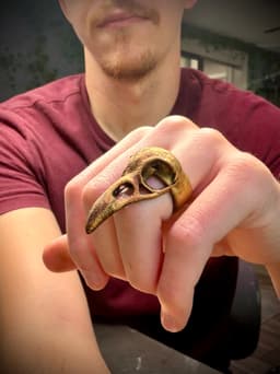 Raven skull ring 3d model