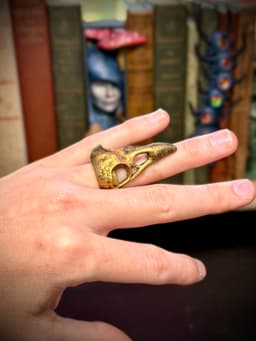 Raven skull ring 3d model