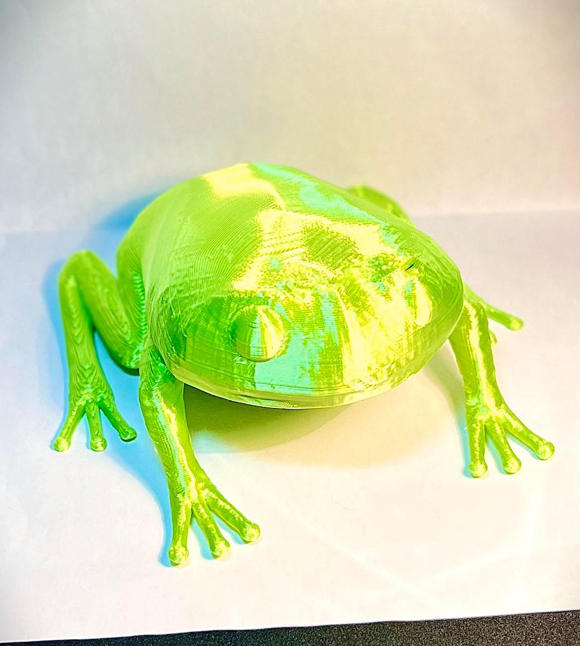 Green Tree frog 3d model