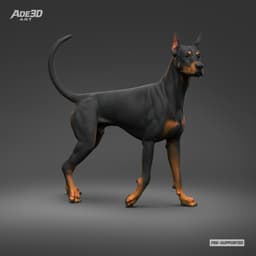 Doberman Pinscher Cropped Ears Natural Tail 3D Print Pose 05 3d model