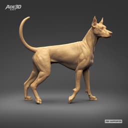 Doberman Pinscher Cropped Ears Natural Tail 3D Print Pose 05 3d model