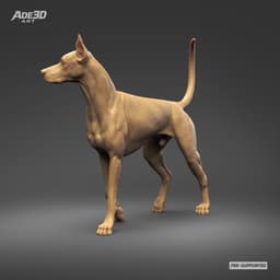 Doberman Pinscher Cropped Ears Natural Tail 3D Print Pose 05 3d model